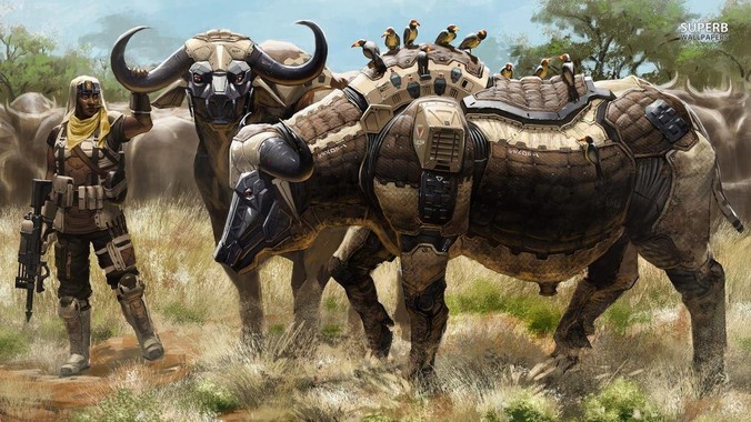 有钱人都找什么样的女人做老婆？